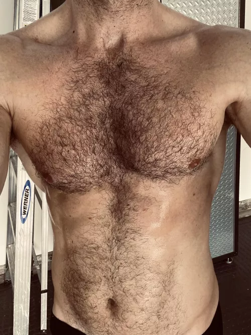 Sheen of Sweat and Hair