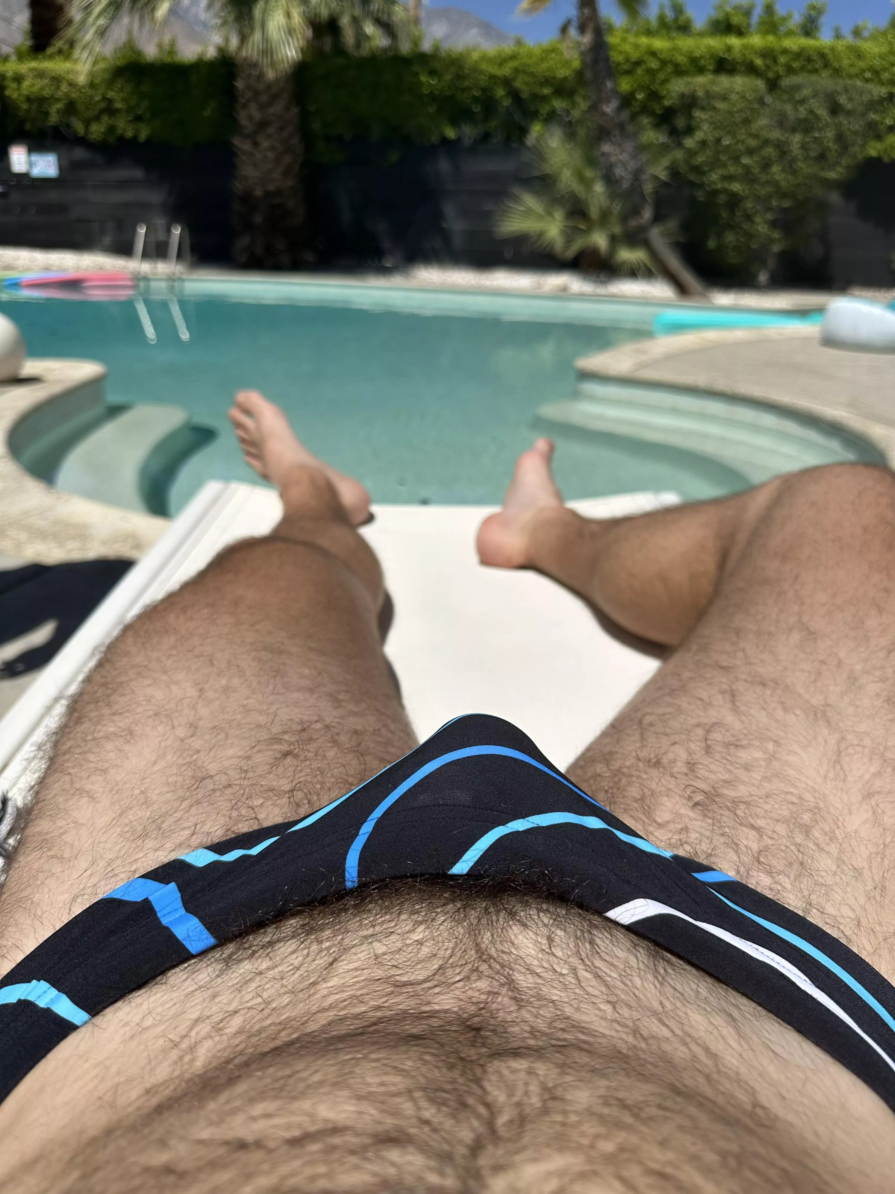 These briefs can’t contain my forest