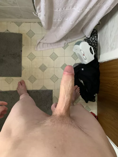 You letting me fuck ?