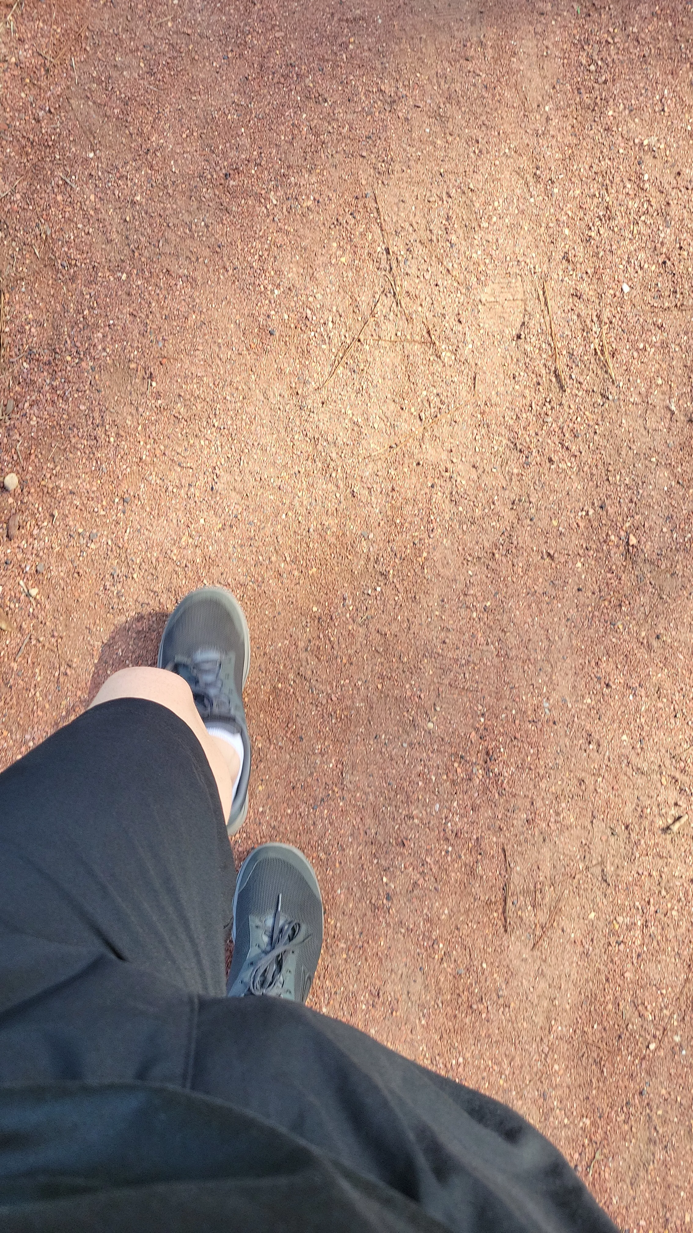 34 m - morning walk. DMs open for requests