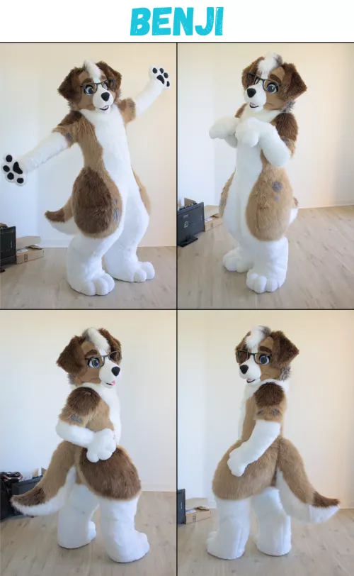 A fursuit I recently finished of my fursona, Benji!