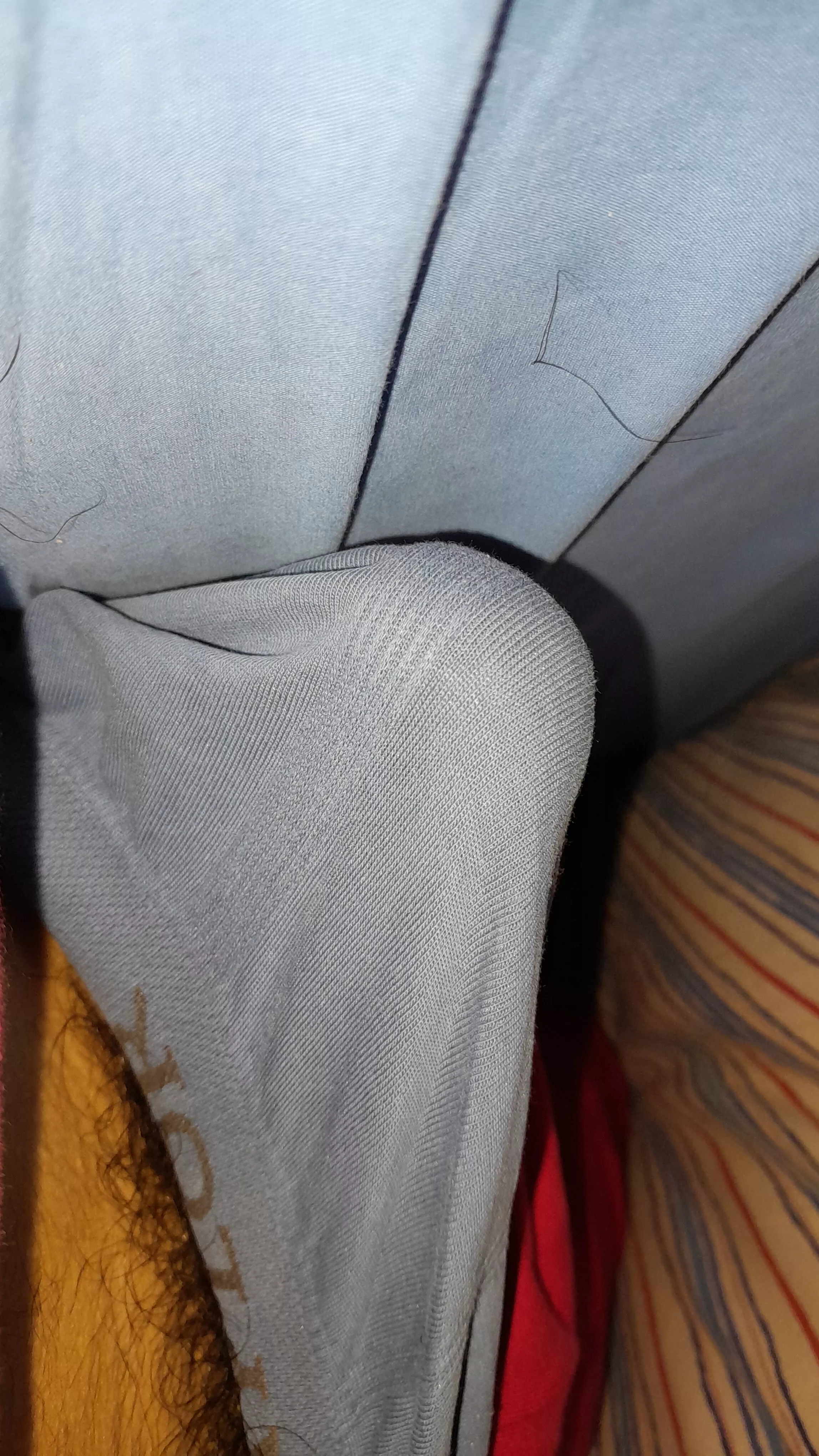 amyome want yo see it???