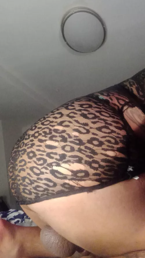 Any sexy ladybugs want to ft