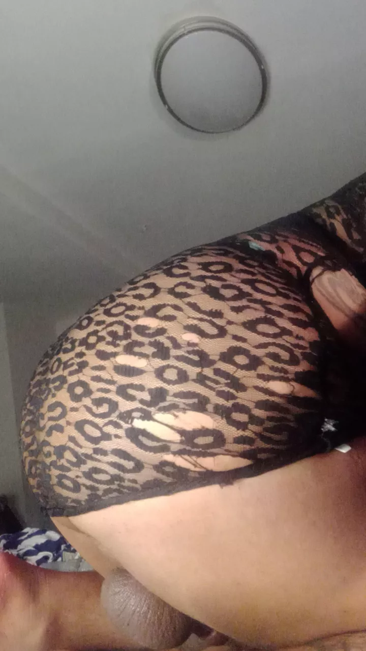 Any sexy ladybugs want to ft