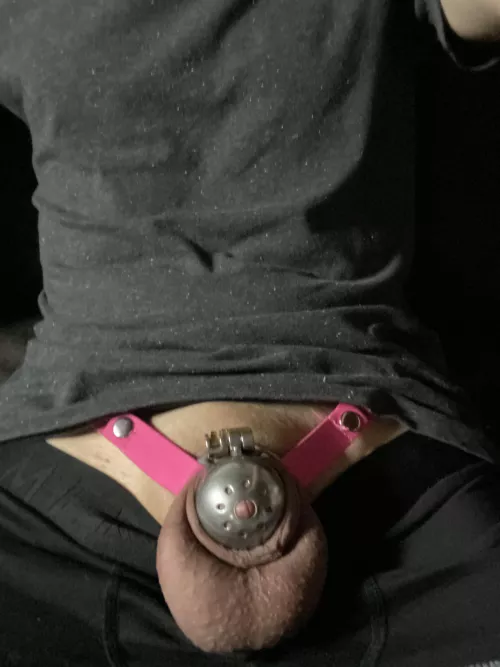 Day 13, Almost Two Weeks Caged 🔒