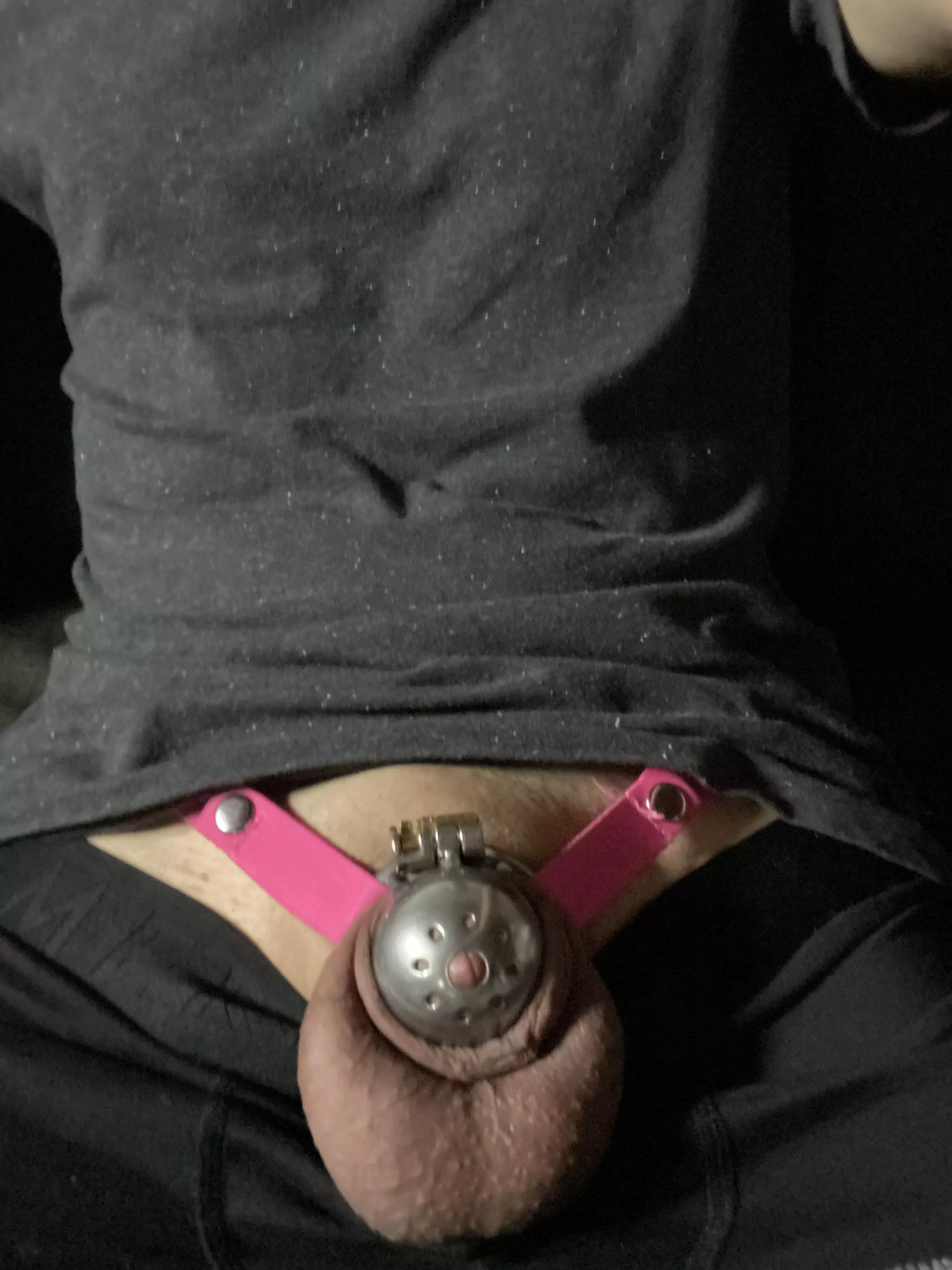 Day 13, Almost Two Weeks Caged 🔒