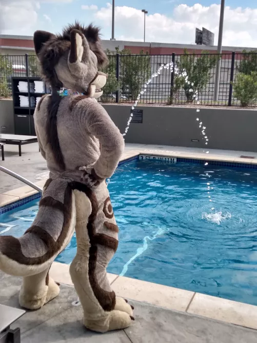 Funny pic I took of my friend Ryvahn at ACFI 2022.