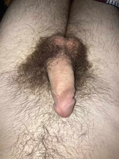 Get me hard?