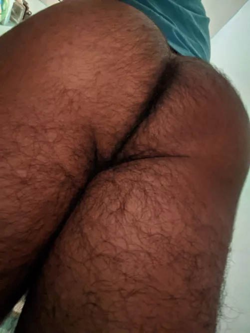 Hi, this is my hairy ass