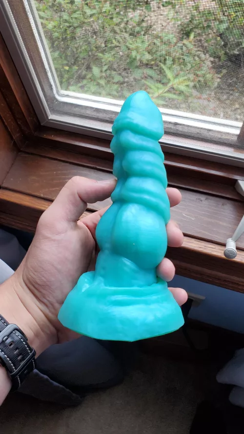 How much is my s/m Nova worth? Considering selling/trading it for a rex or chance flared