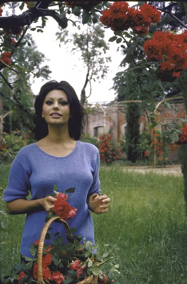 Italian actress Sofia Loren