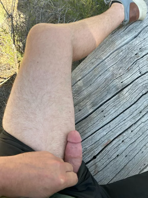 Morning wood