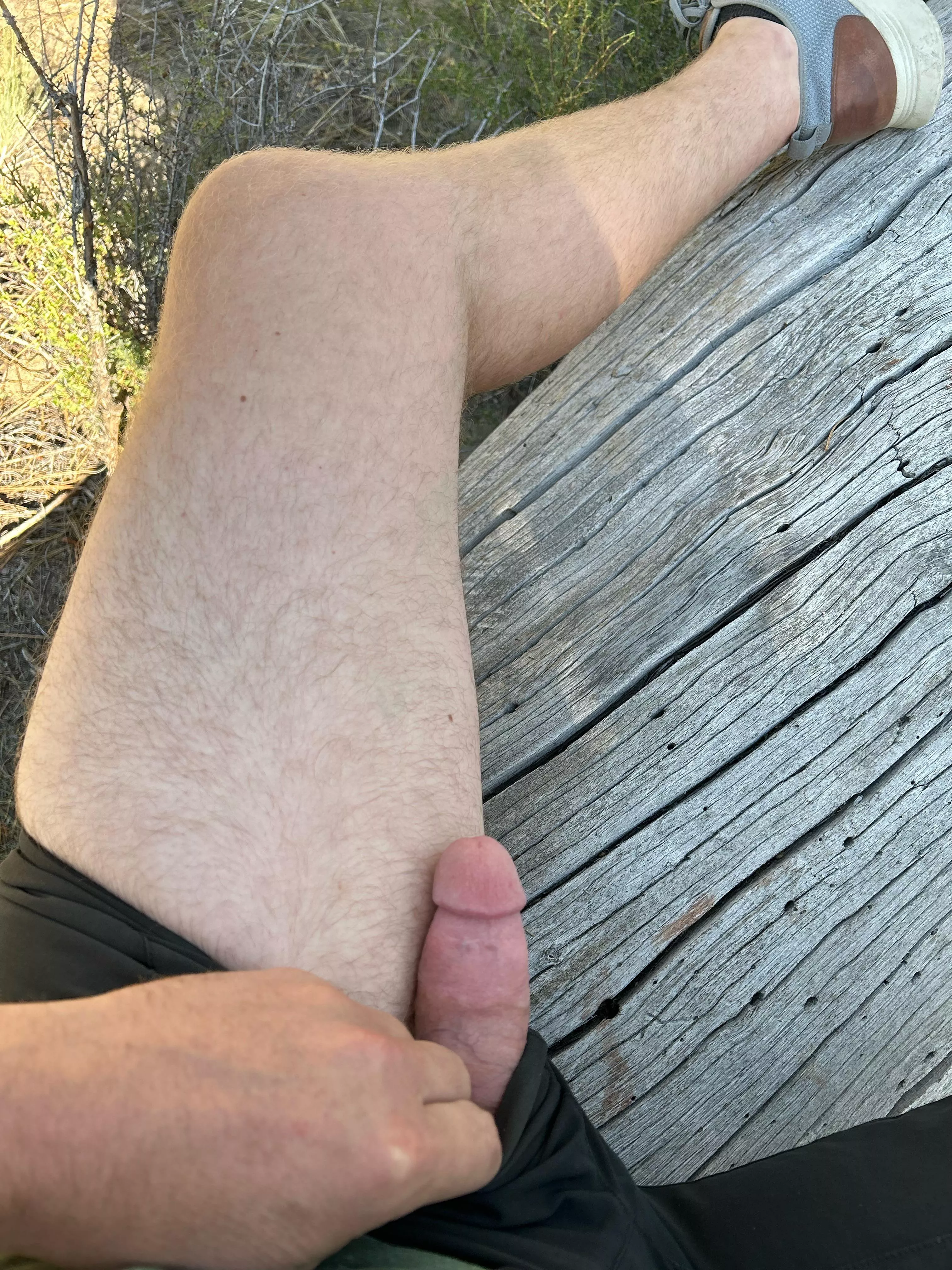 Morning wood