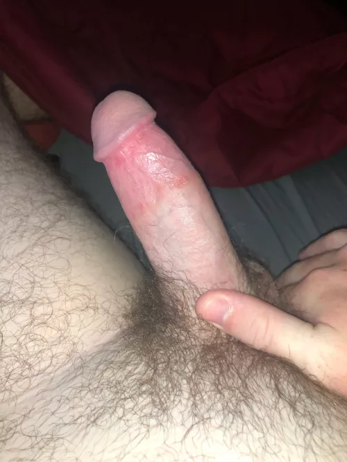 Morning wood is crazy