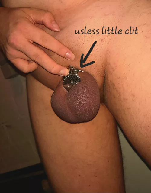 My Balls are so full and swollen please let me out just for 1min😭