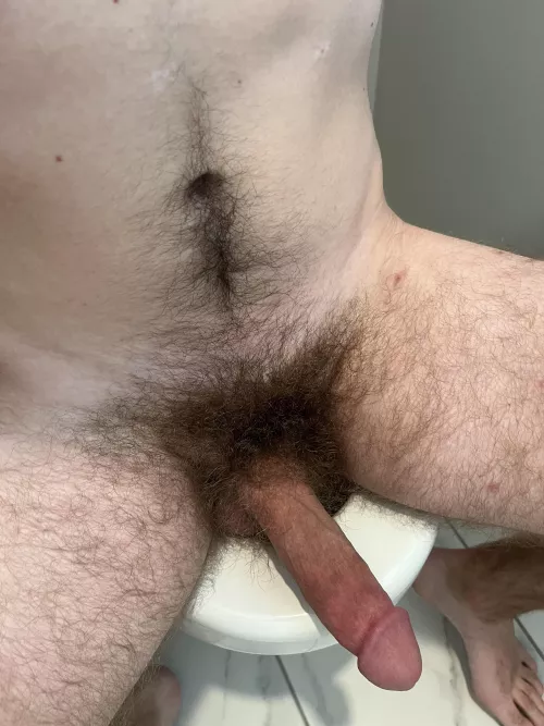 Ripe bush and cock