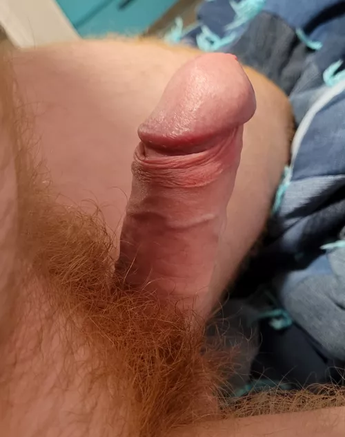 Would you play with my ginger cock?