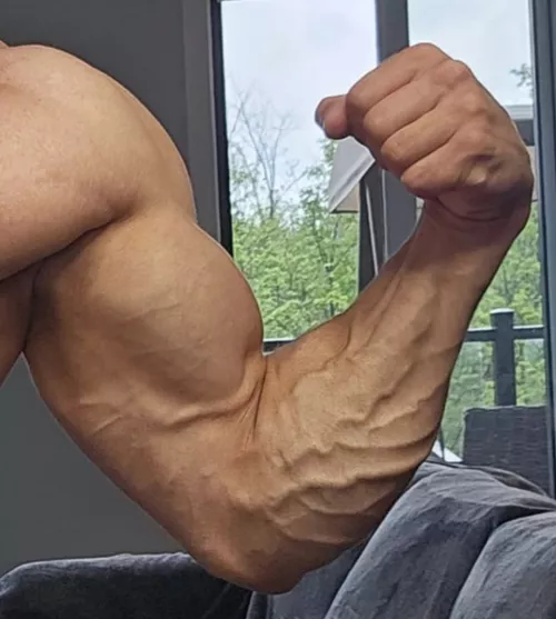 💪🏼🔥💪🏼🔥