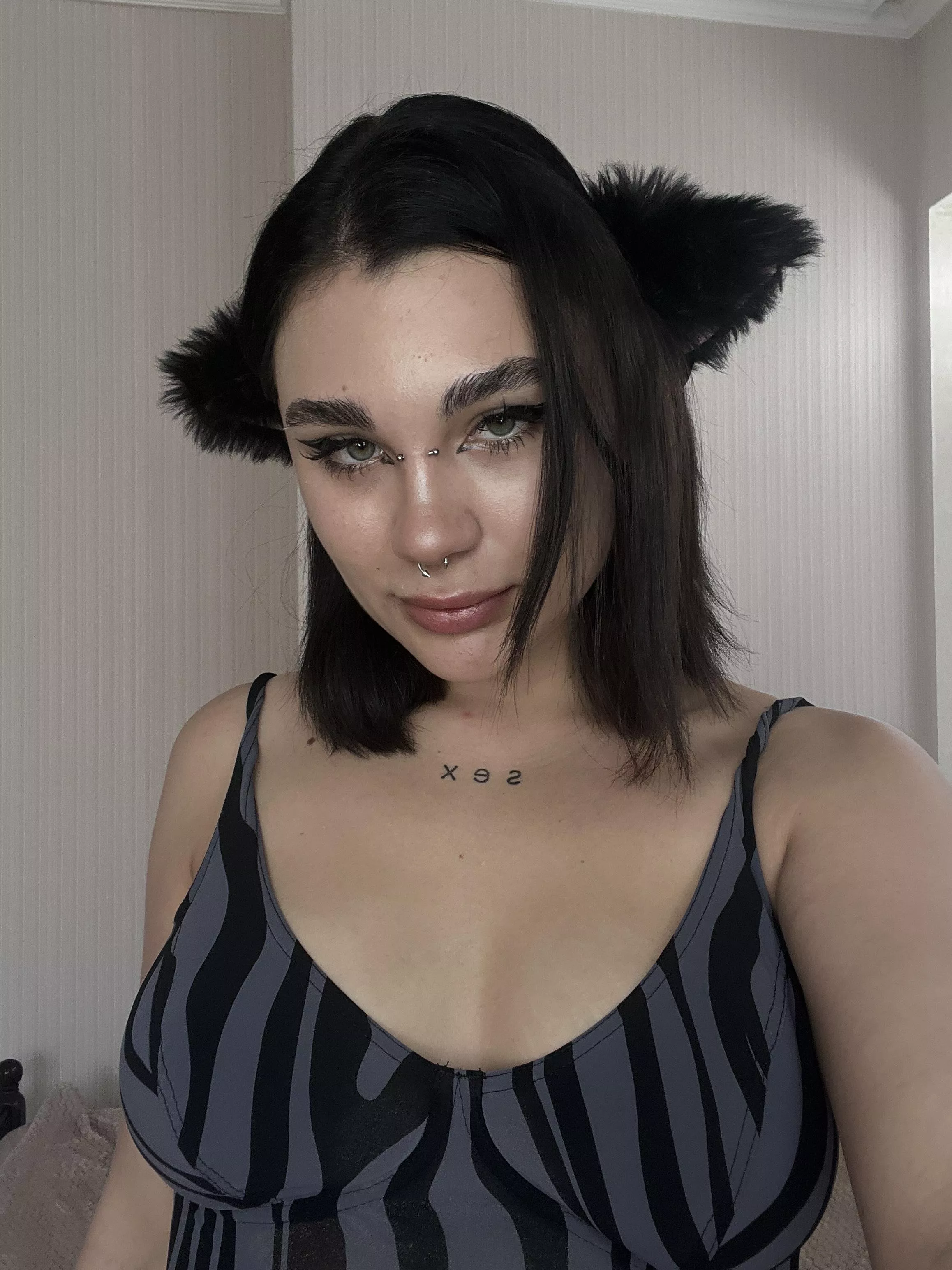 Alt kitten needs ear scratches