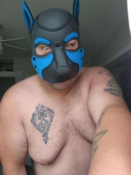 Big puppies need some love too!! 27 M