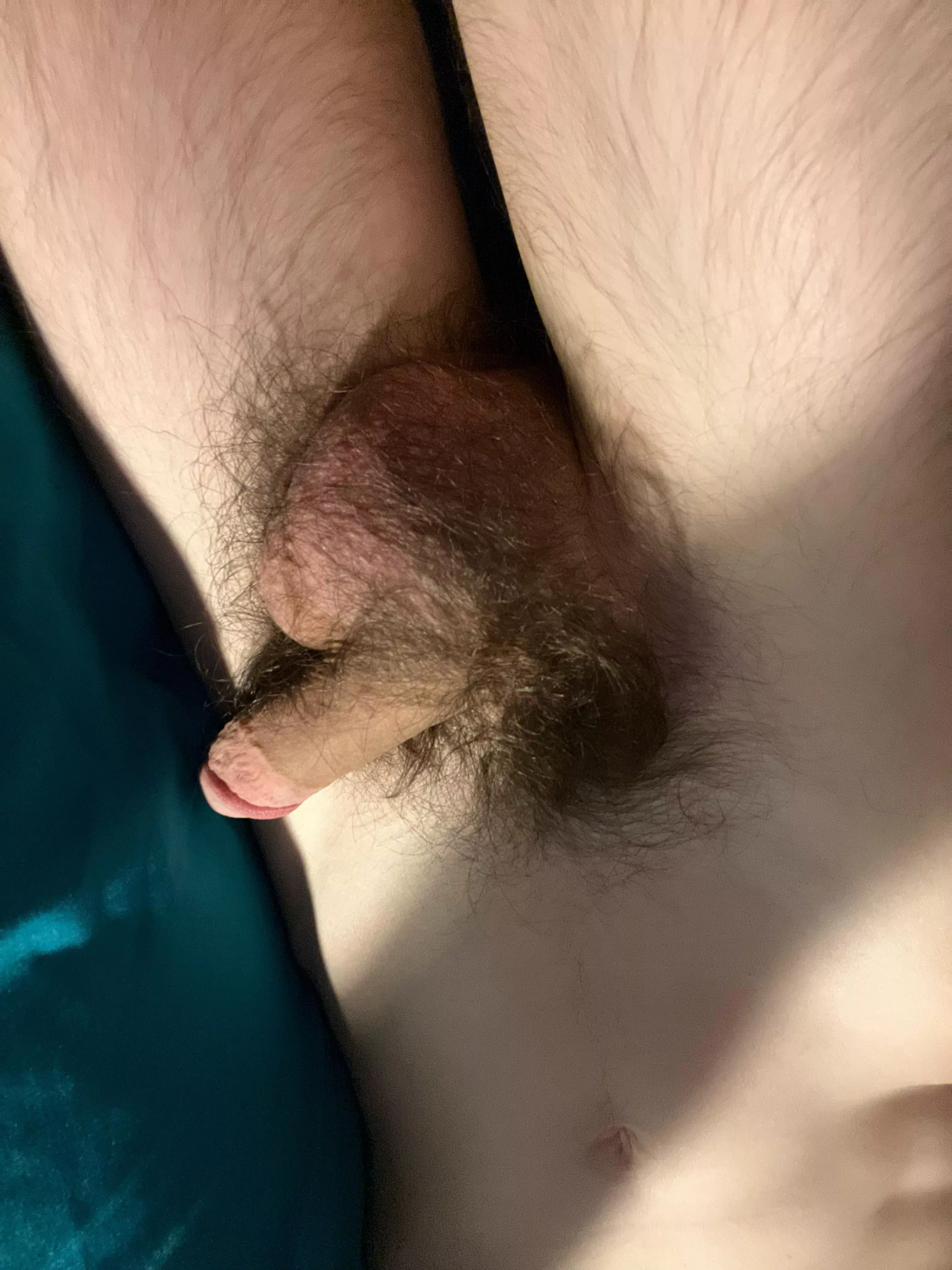 Furry crotch