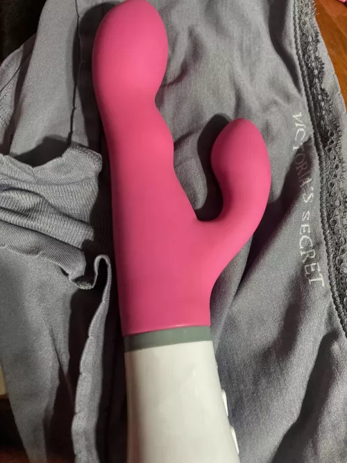 Hiya! It’s day 3 and I still haven’t gotten anyone to control my toy🥲