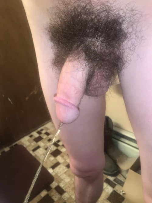 Need a big fuzzy bear to mark his territory all over my bush 🥺🐻