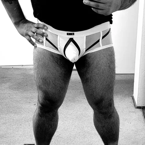 New briefs