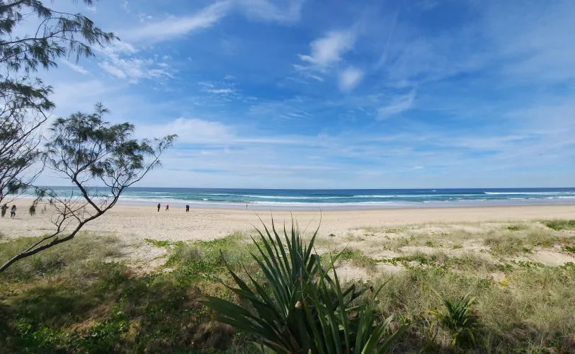 New here. Any Aussie Gold Coast guy's here?