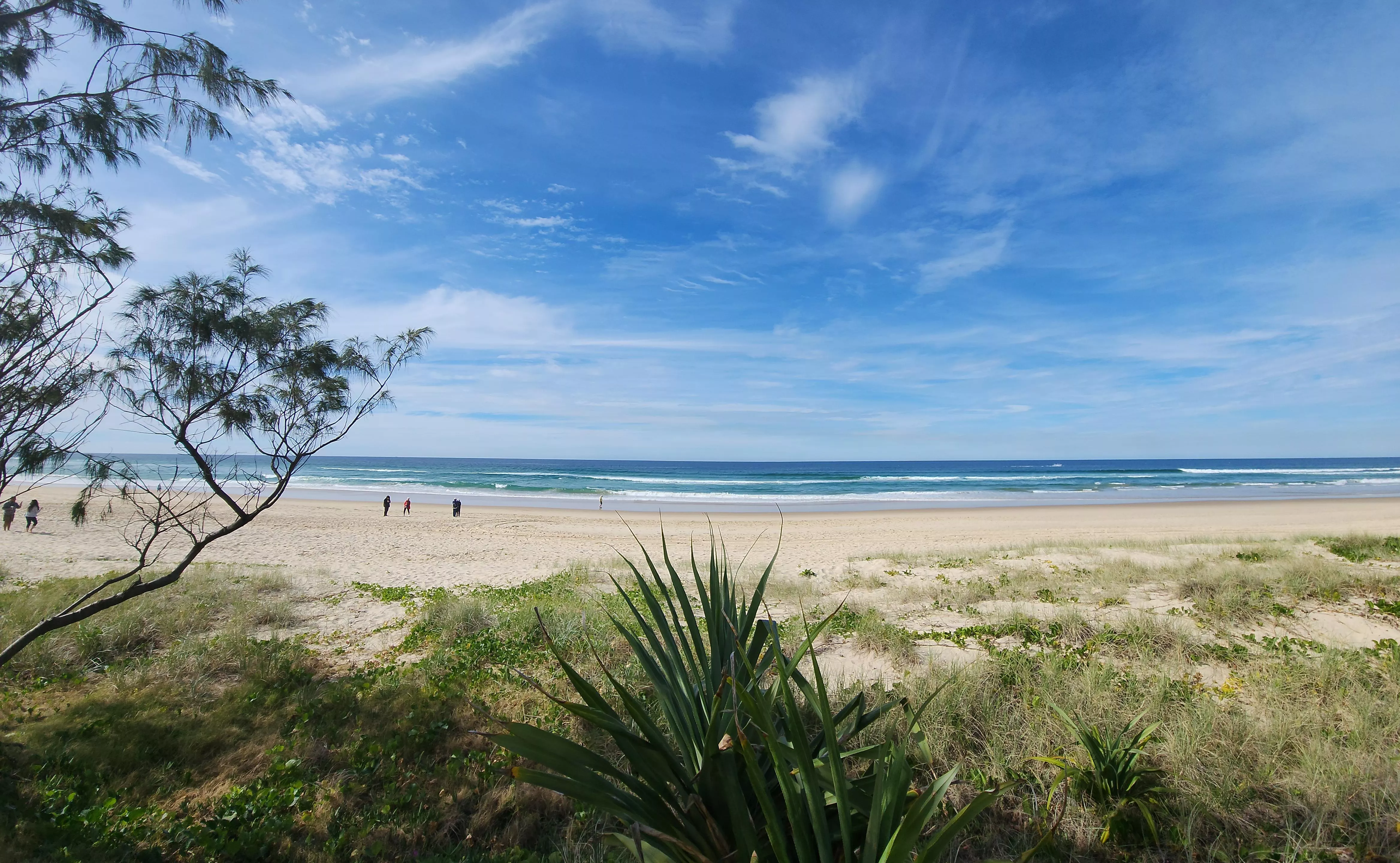 New here. Any Aussie Gold Coast guy's here?