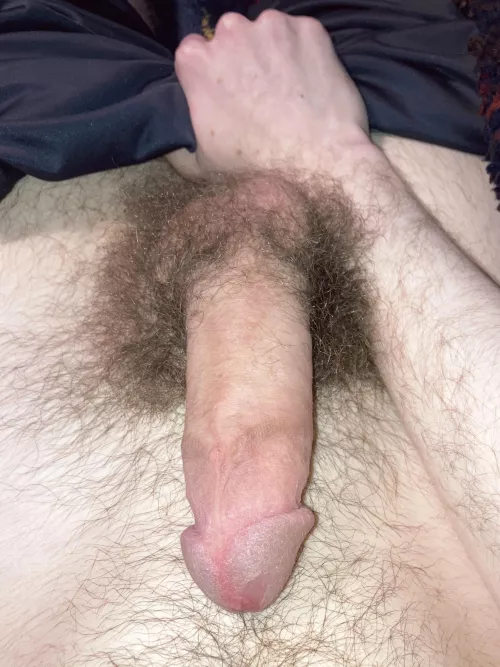 Thick hairy cock for you 😈