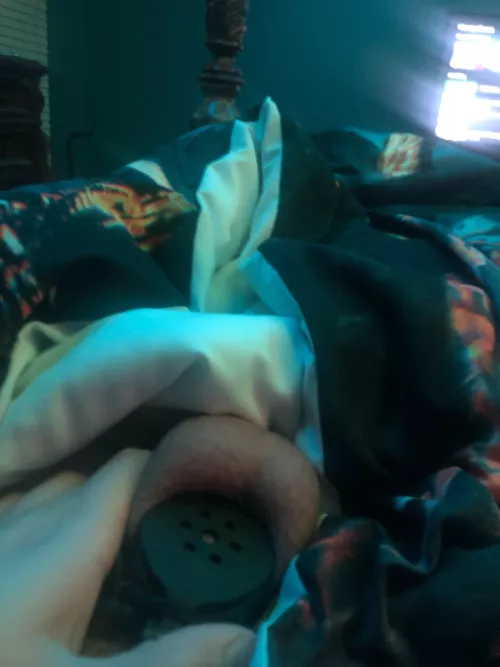 Well looks like I’ll be in chastity for 311 hours according to my last post but is that enough🤔🤔