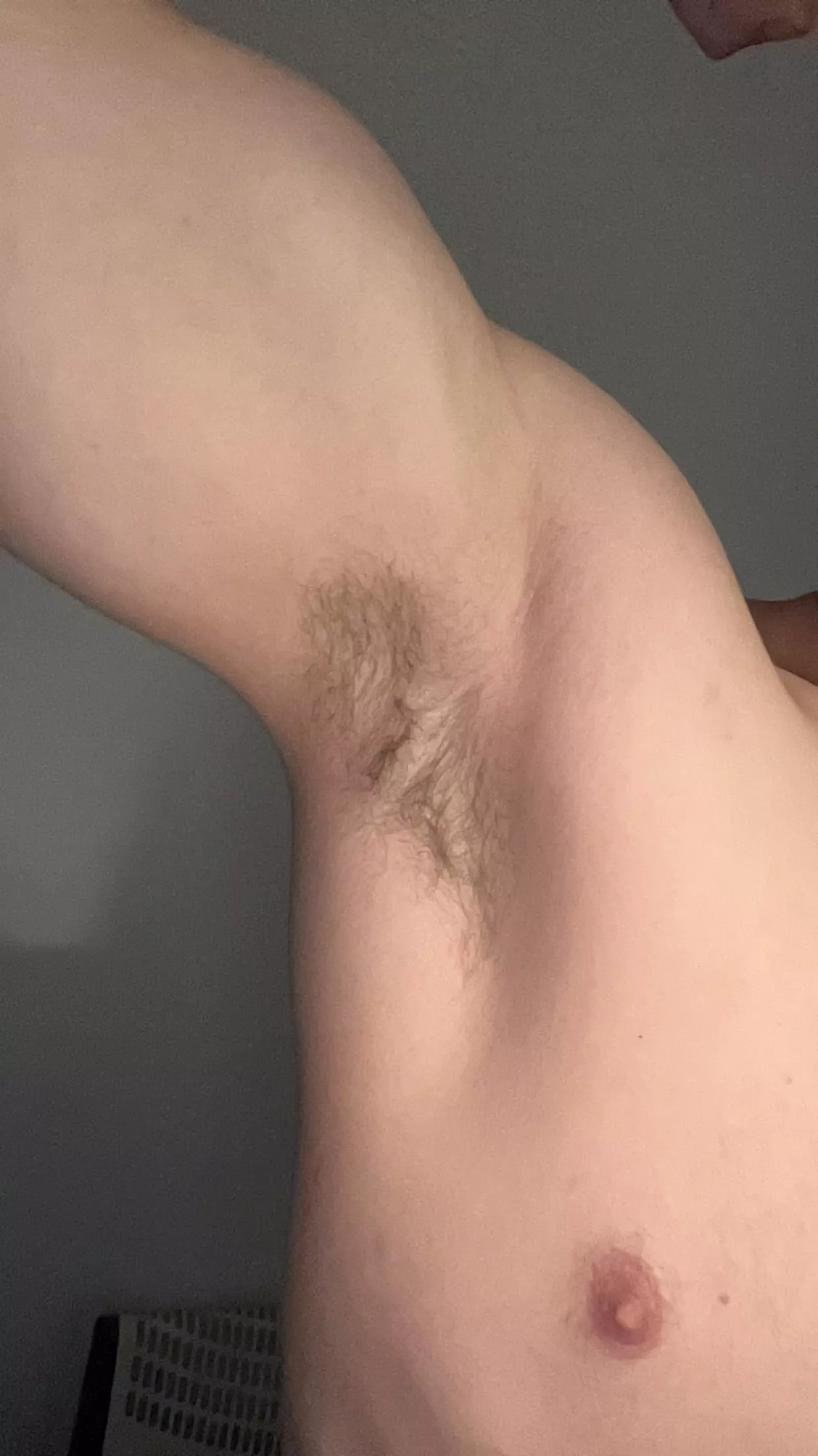 What do you think of these pits?