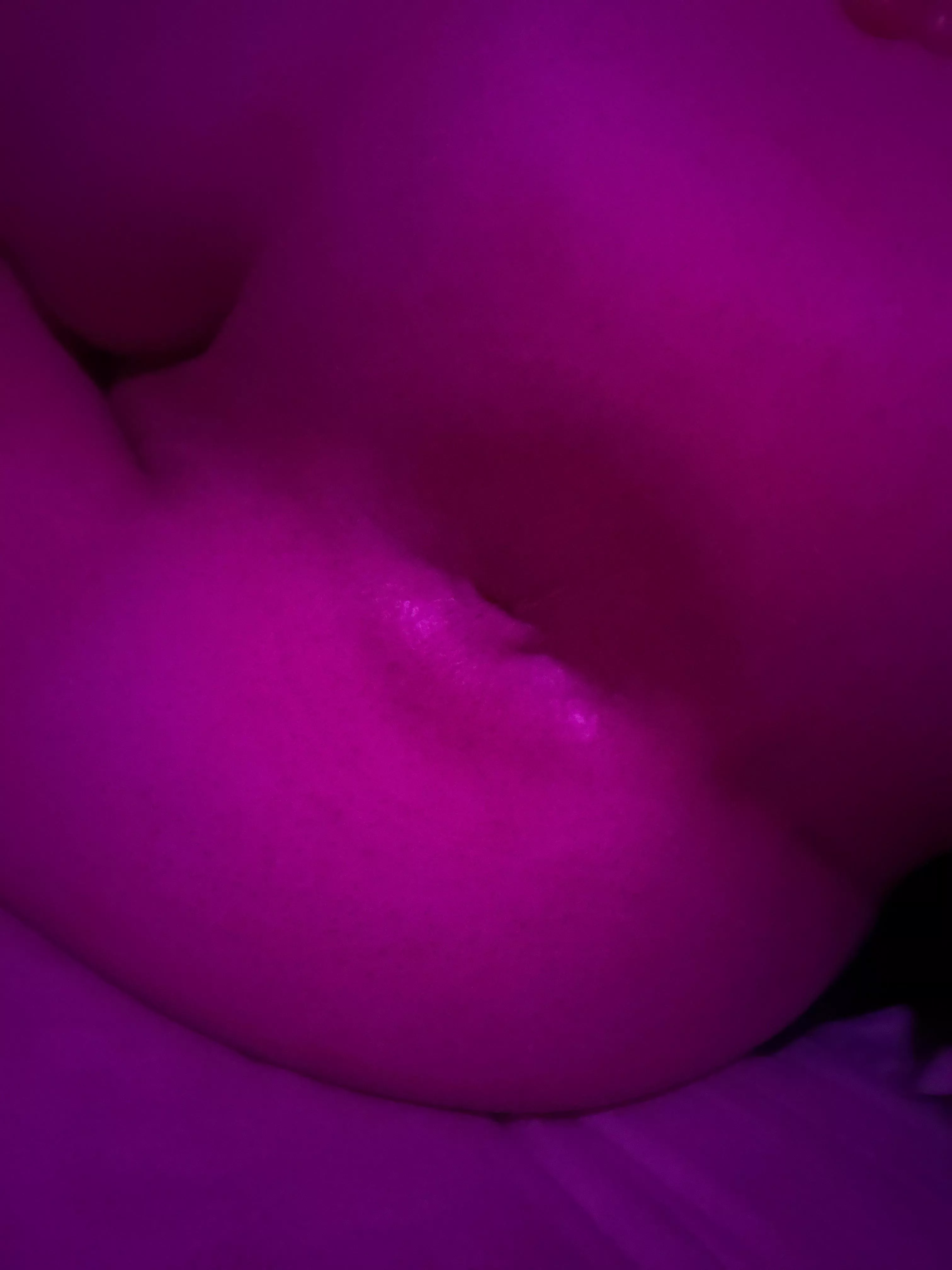 18m freshly shaved. snap, b-10509