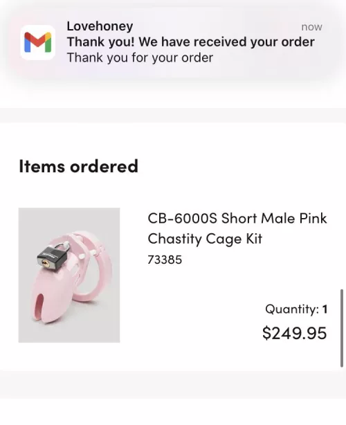 [18/M] just ordered my first chastity cage!