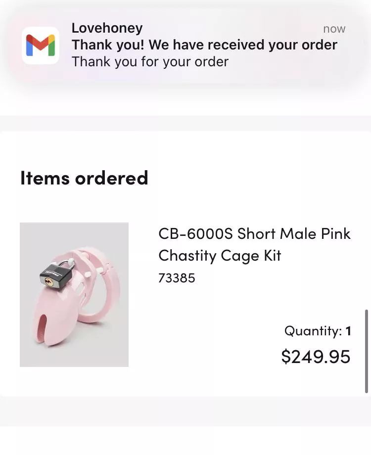 [18/M] just ordered my first chastity cage!