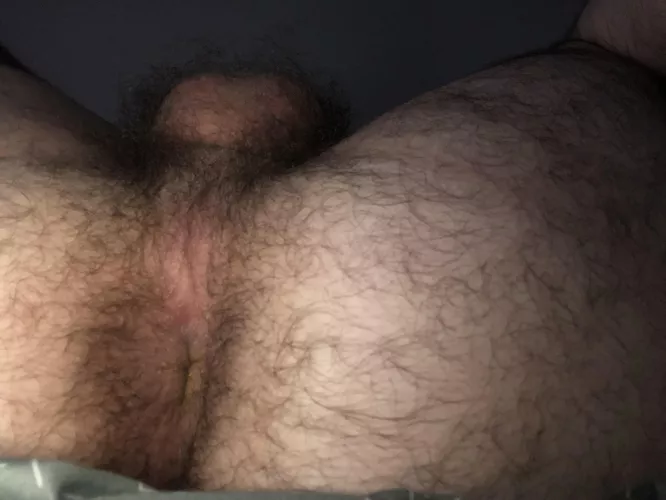 Come on in, the ass is great!