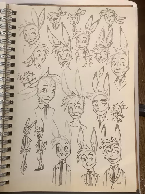 Do people hate bunnies or something????