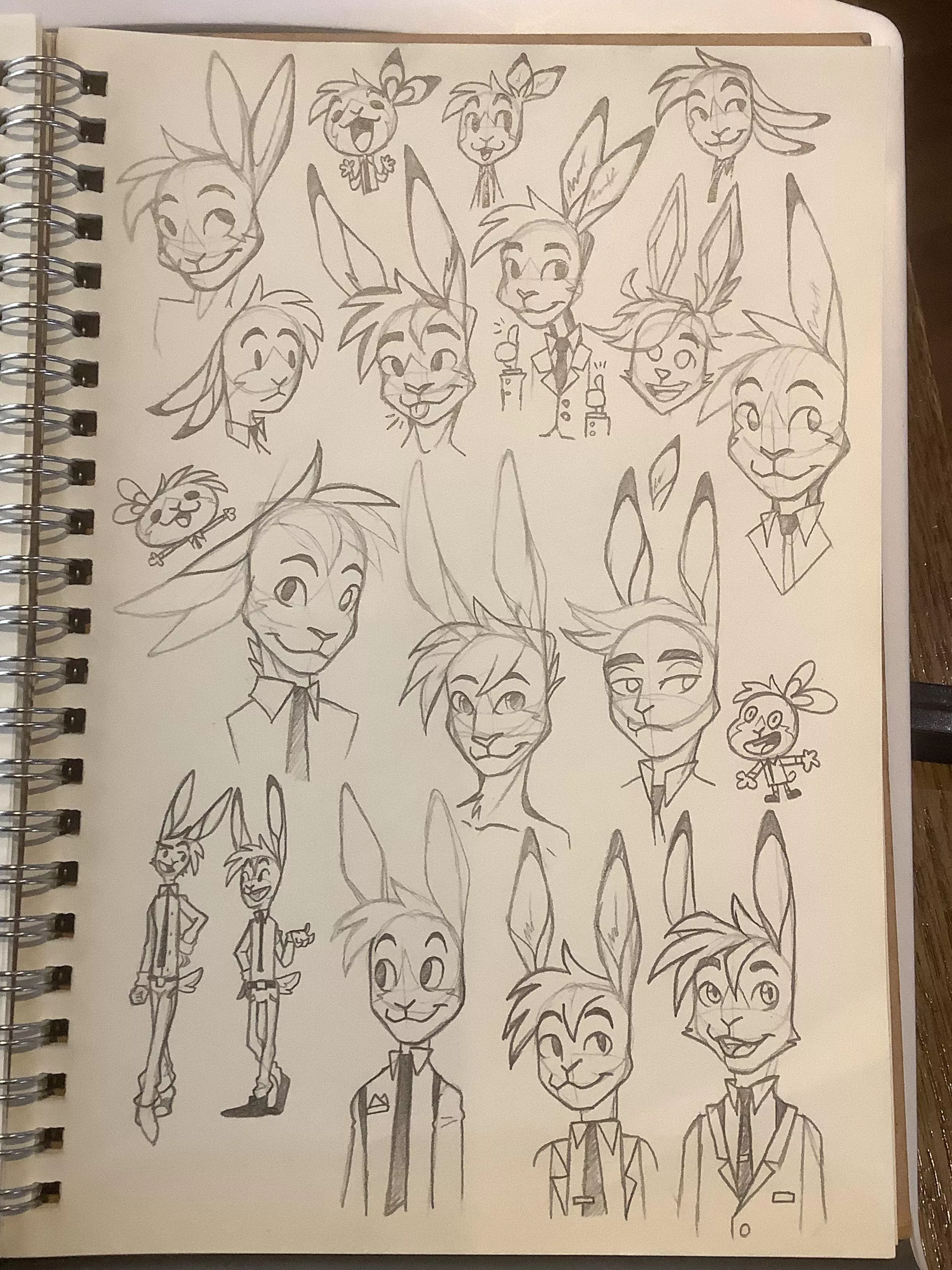 Do people hate bunnies or something????