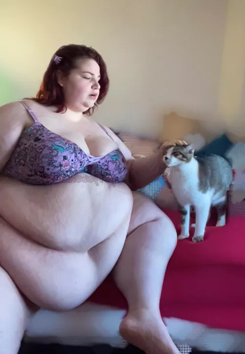 From a video I made today