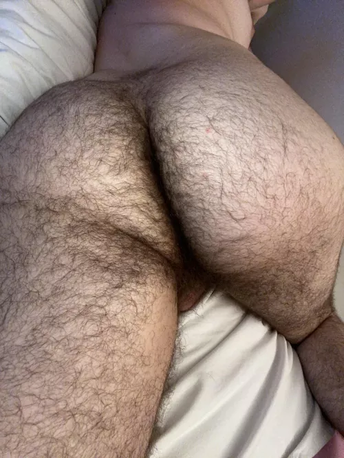 Hairy ass men