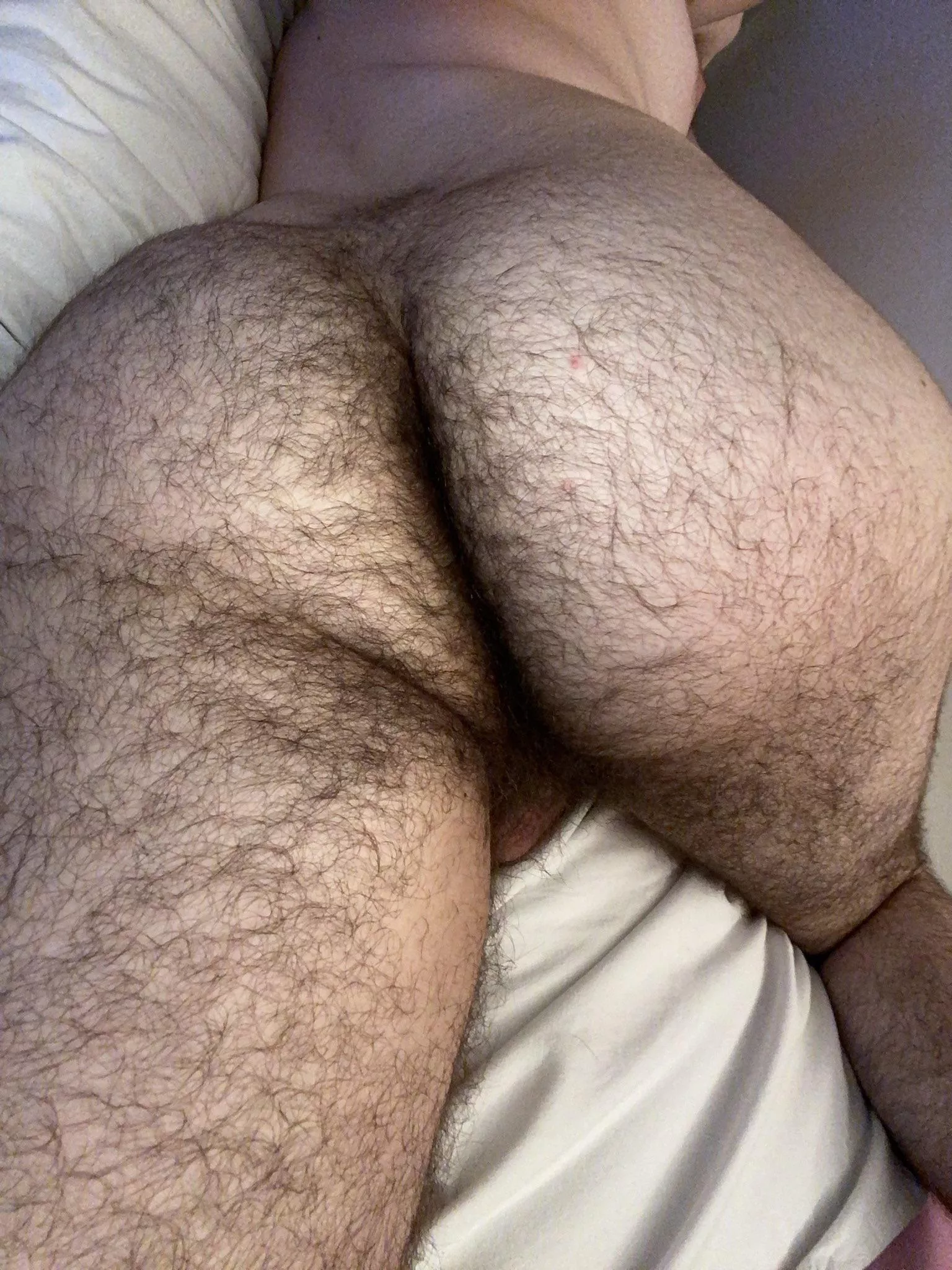 Hairy ass men
