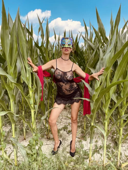 Hey honey! How about a stroll together undisturbed in the cornfields?