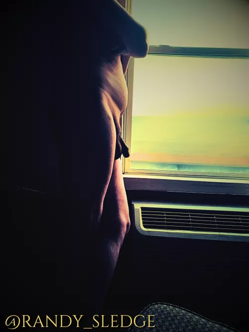 I'm in the age group that misuses dead memes, so Dicks Out for Harambe I guess?