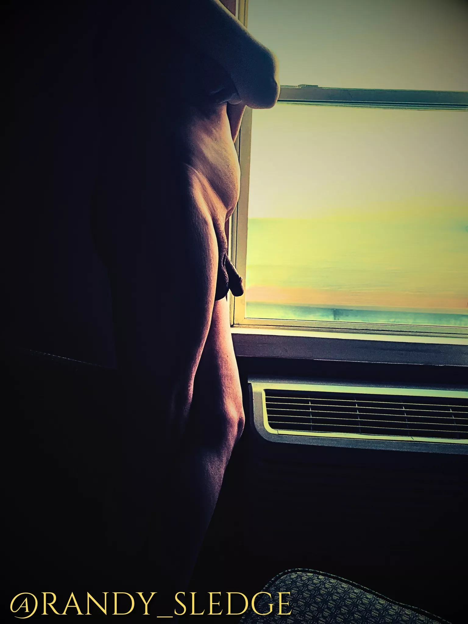 I'm in the age group that misuses dead memes, so Dicks Out for Harambe I guess?