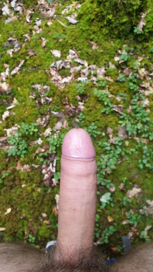 My cock had to get some fresh air.