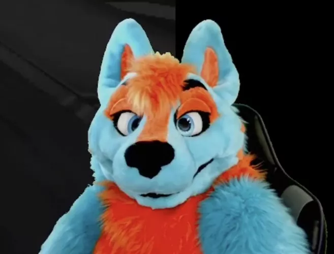 on a scale of 1-10, how boopable is this goodboy?