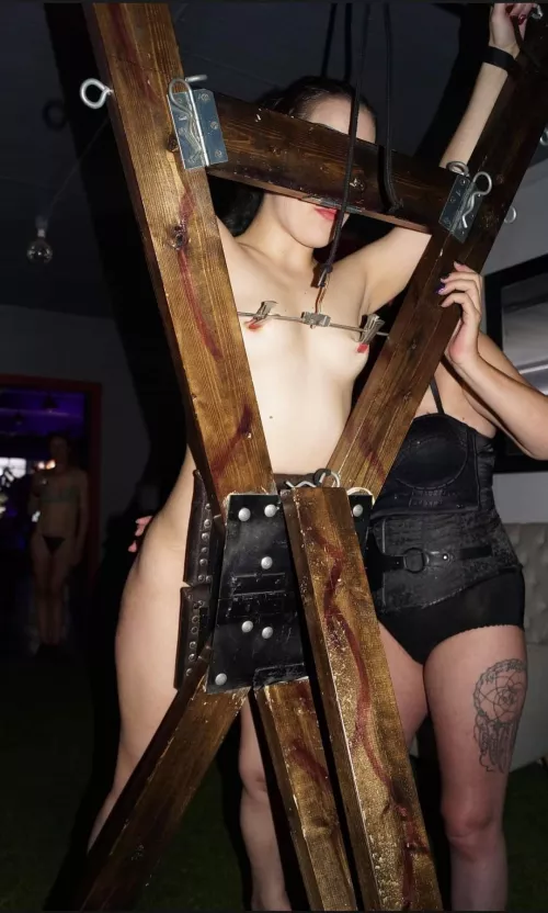 The life of a freeuse unicorn PT1 (my nipples were numb)