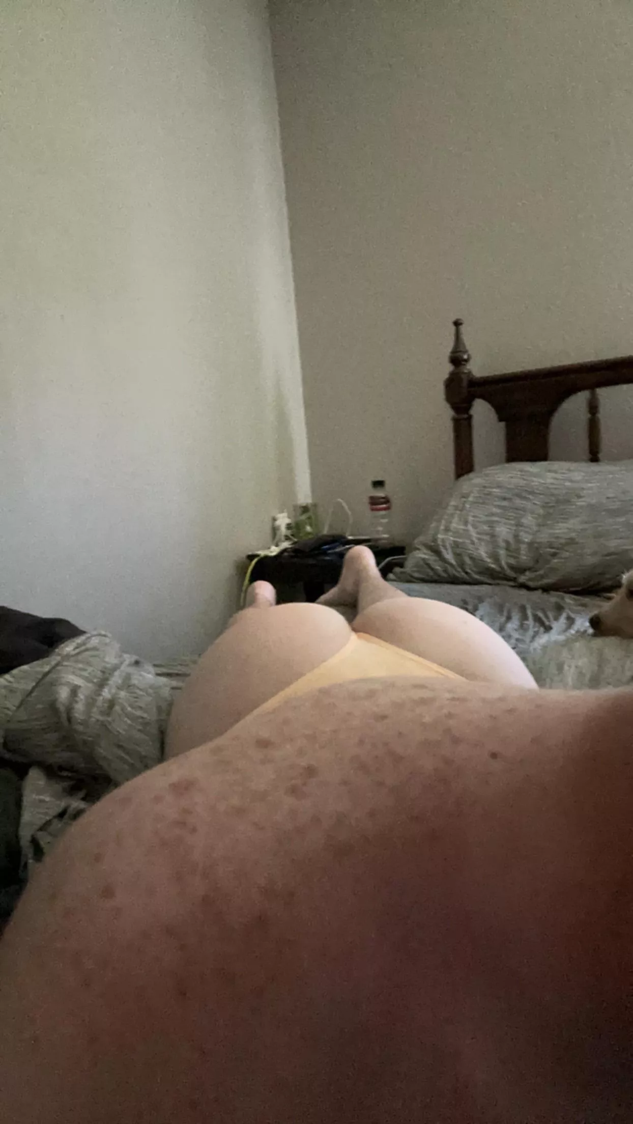 Thongs are the best. What do you think?