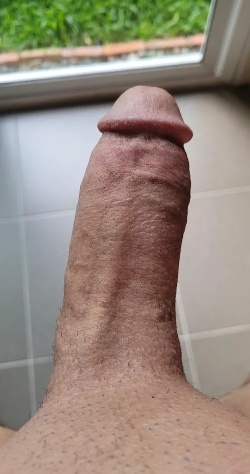 To shave or let it grow?